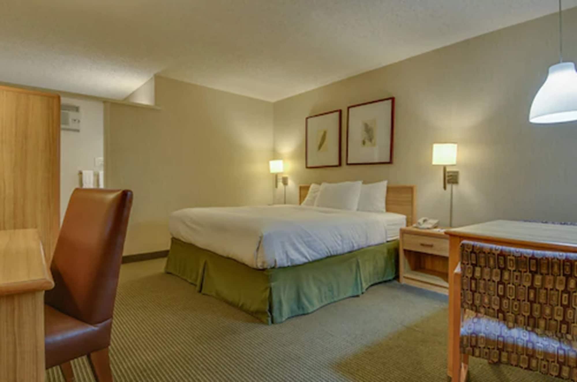 Vagabond Inn Los Angeles At Usc Eksteriør billede